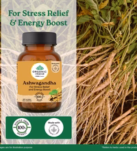 Ashwagandha for Increased Virility & Reduced Stress Prev Next Brand : Organic India